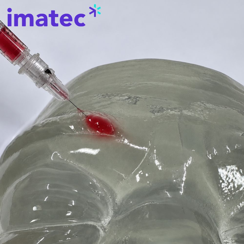 Transparent Eye Injection Training Model by Imatec Medical