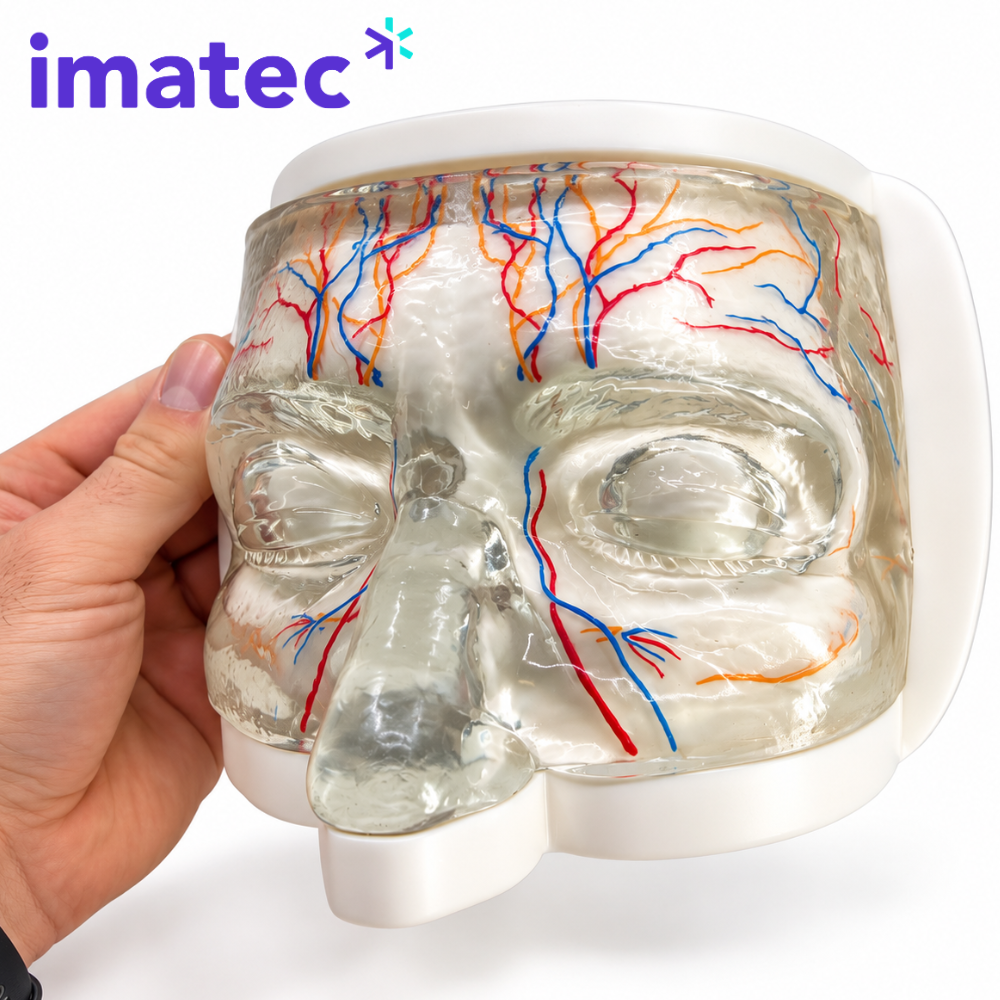 Transparent Facial Injection Training Model by Imatec Medical