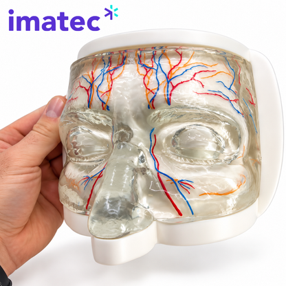 Transparent Facial Injection Training Model by Imatec Medical