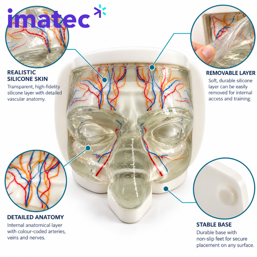 Transparent Facial Injection Training Model by Imatec Medical