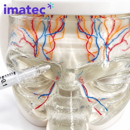 Transparent Facial Injection Training Model by Imatec Medical