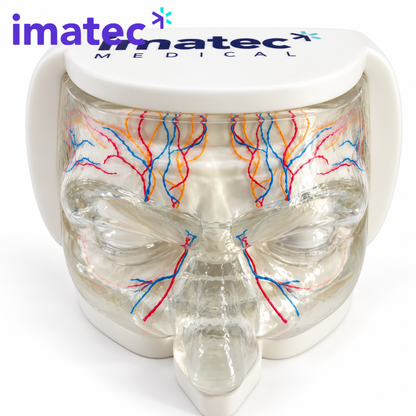 Transparent Facial Injection Training Model by Imatec Medical