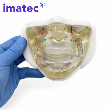 Transparent Facial Injection Training Model by Imatec Medical