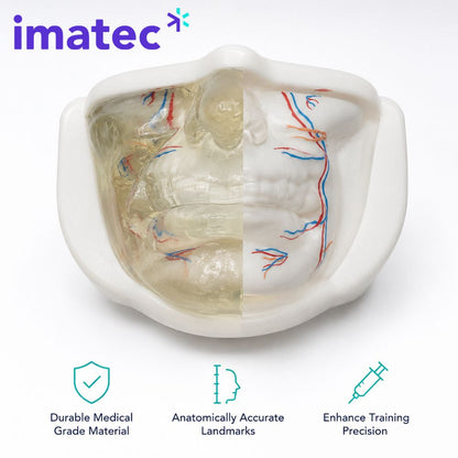 Transparent Facial Injection Training Model by Imatec Medical