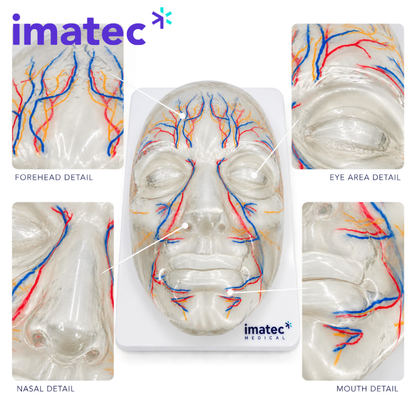 Transparent Facial Injection Training Model by Imatec Medical