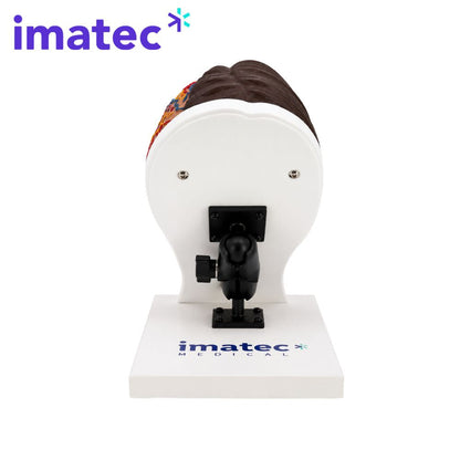 Half Anatomy Facial Injection Head by Imatec Medical