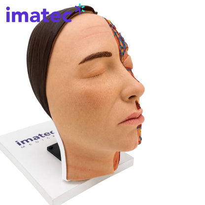 Half Anatomy Facial Injection Head by Imatec Medical