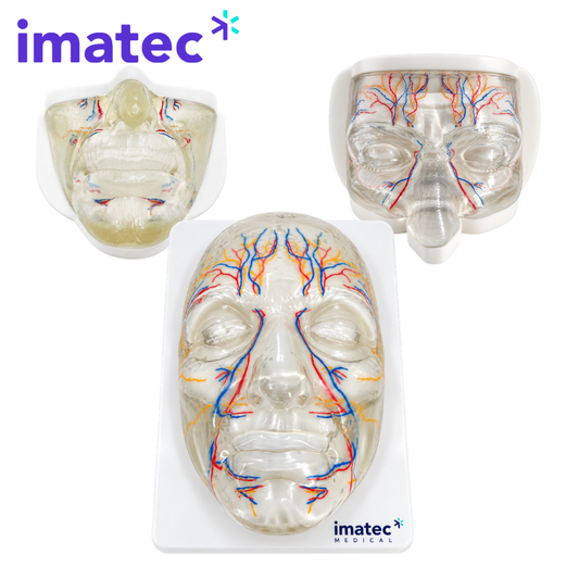 Transparent Facial Injection Training Model by Imatec Medical